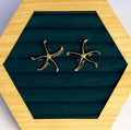 22K Gold-Plated Starfish Earrings – Premium Stainless Steel